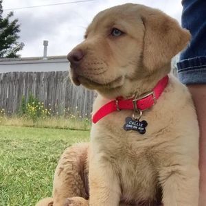 Meet your Posher, Gayle