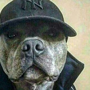 Meet your Posher, Ivan