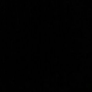 Meet your Posher, Warren