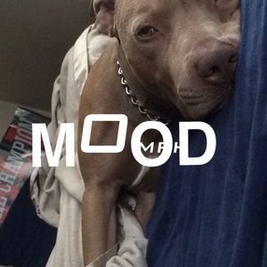 Meet your Posher, Malik