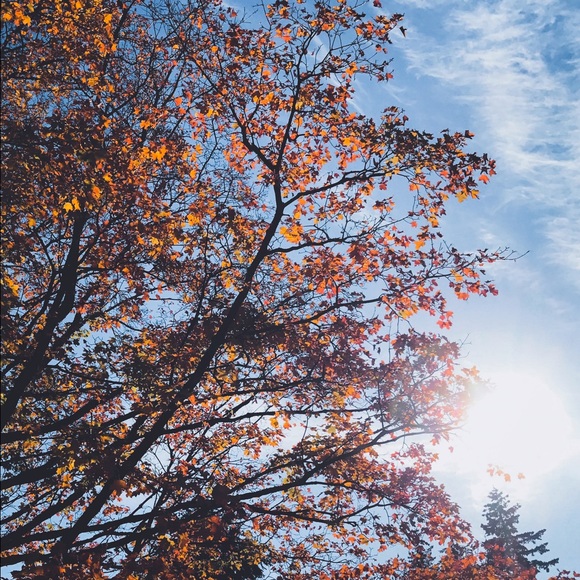 Meet your Posher, Geraldi