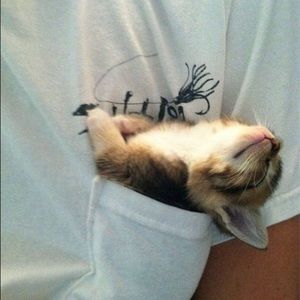 Meet your Posher, Daniel