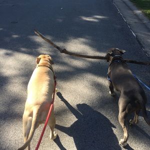 Meet your Posher, Mark