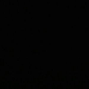 Meet your Posher, Trey