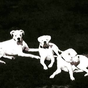 Meet your Posher, Chooch