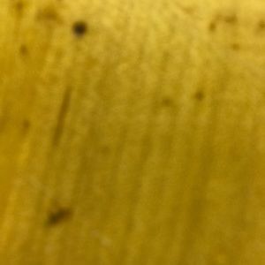 Meet your Posher, Winston