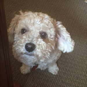 Meet your Posher, Kristin