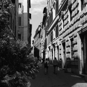 Meet your Posher, Payton