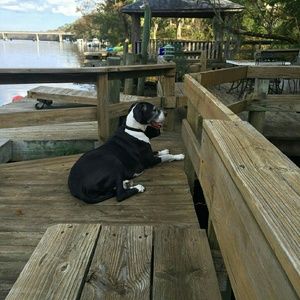 Meet your Posher, John