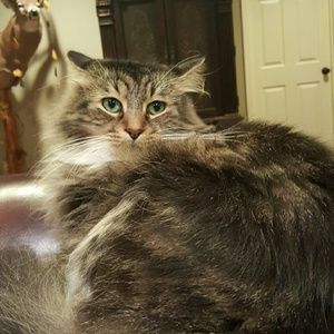 Meet your Posher, Cody