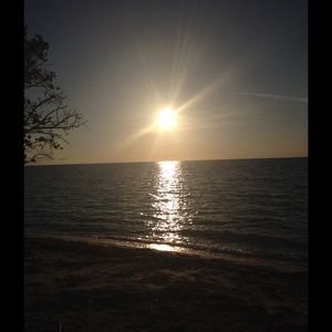 Meet your Posher, Rosemarie