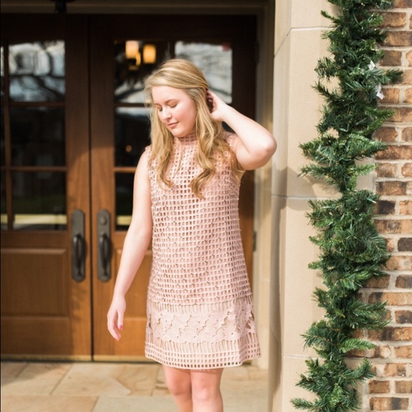 Rose net dress