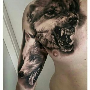 Meet your Posher, Patrick