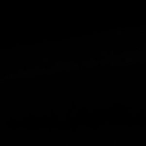 Meet your Posher, Harry