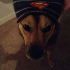 Meet your Posher, Allison