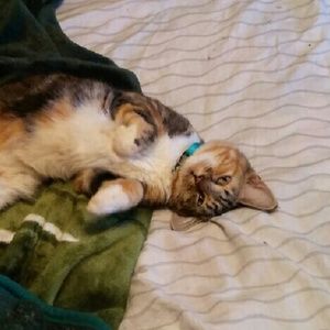 Meet your Posher, Donald