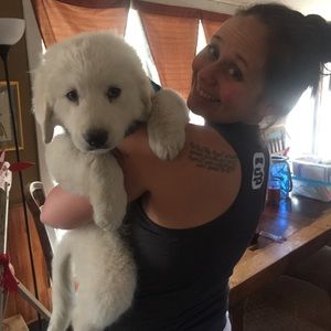 Meet your Posher, Brook