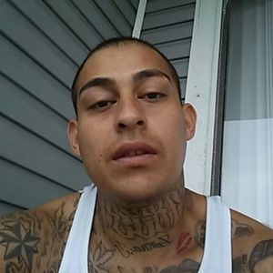 Meet your Posher, Angus