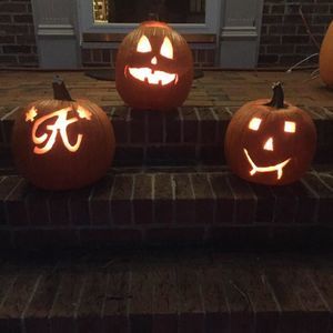 Meet your Posher, Holly