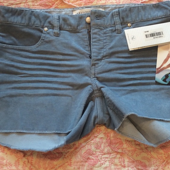 Carve Designs shorts by Title Nine