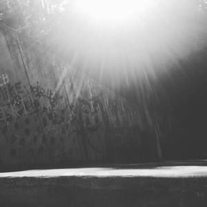 Meet your Posher, Conner