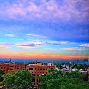 Meet your Posher, Jacquelynn