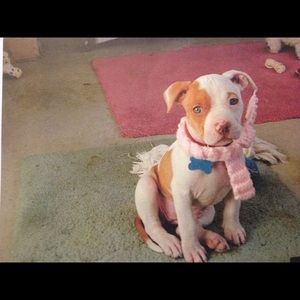 Meet your Posher, Minh