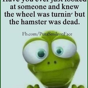 Meet your Posher, Natasha