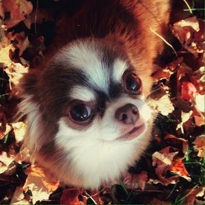 Meet your Posher, Marissa