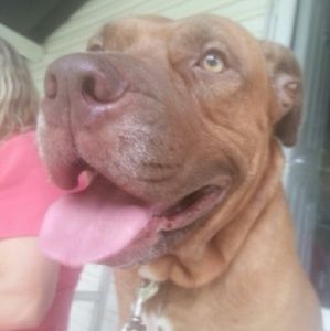 Meet your Posher, Krissy