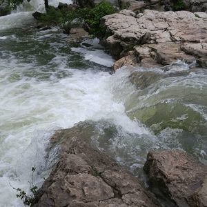 Meet your Posher, Holly