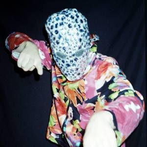 Meet your Posher, Max