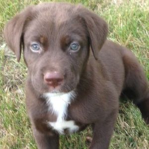 Meet your Posher, Kaley