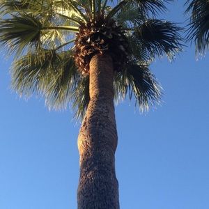 Meet your Posher, Leeann