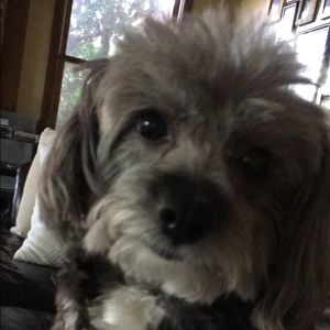 Meet your Posher, Beth