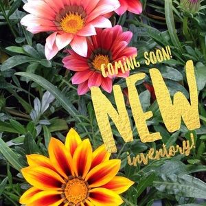 New inventory tonight!