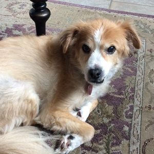 Meet your Posher, Paula