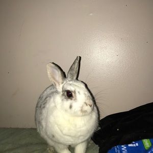 Meet your Posher, Ayesha