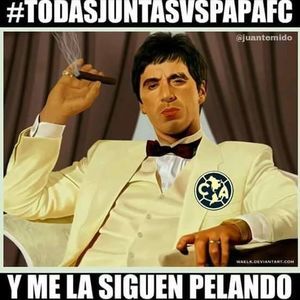 Meet your Posher, Jose