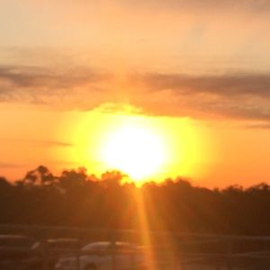 Meet your Posher, Madi