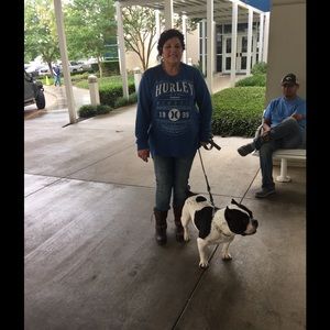 Meet your Posher, Suzanne