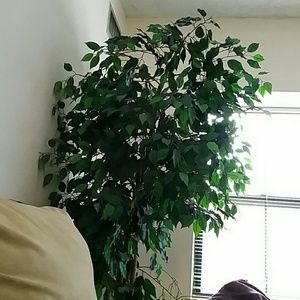 Meet your Posher, Ken