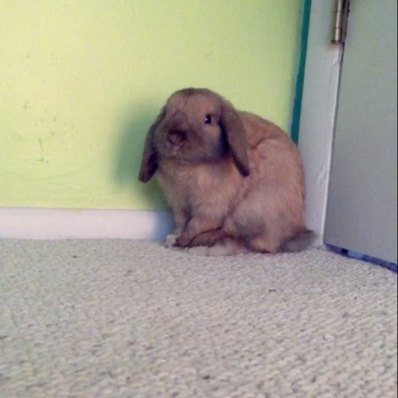 Hey there! - Picture 1 of 1