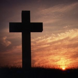 Meet your Posher, Greg rebecca