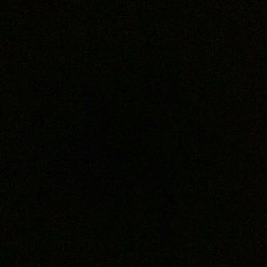 Meet your Posher, Trevor