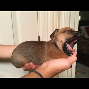 Meet your Posher, Erin