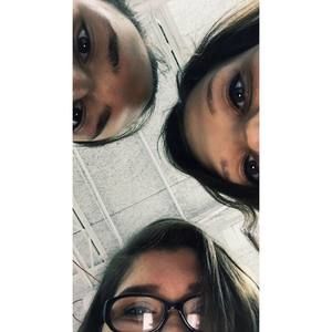 Meet your Posher, Bailey