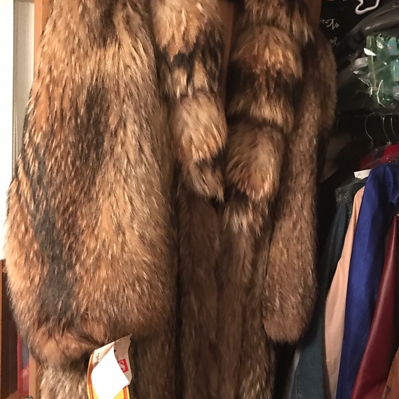 Raccoon stroller. Size large $750.00 - Picture 1 of 2