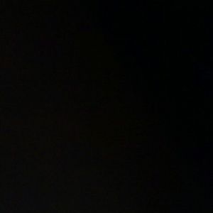 Meet your Posher, Freddie