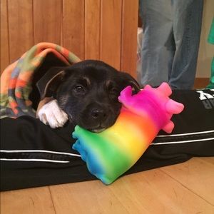 Meet your Posher, Jen